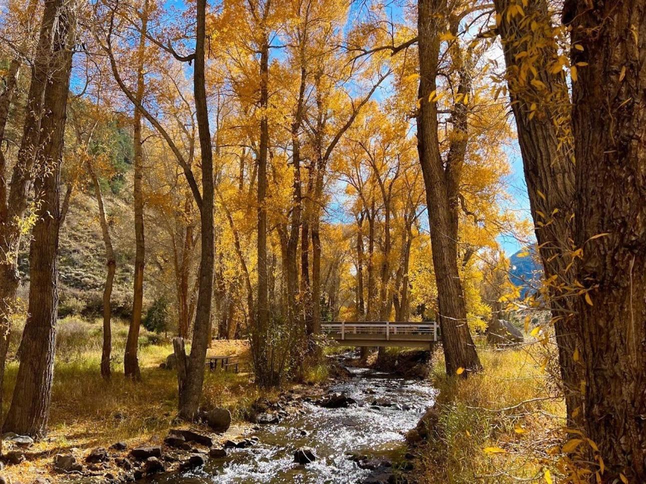 Poncha Creek Mountain Lodge, Near Monarch Mtn Salida Eksteriør billede